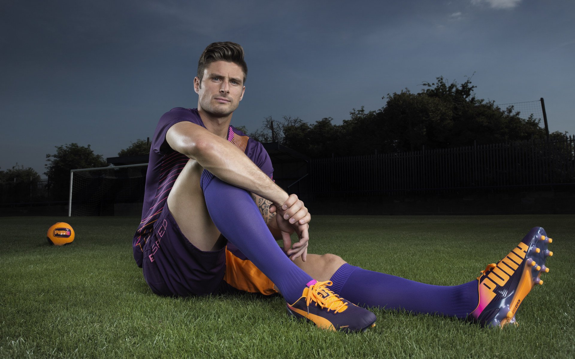 高校体育专业课程体系优化与改革，国内高校体育课程现状